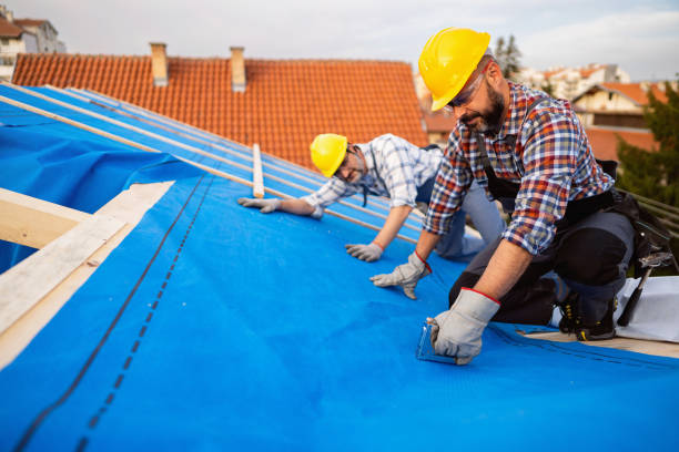 Steel Roofing in Manassas, VA